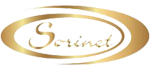 sorinet-logo